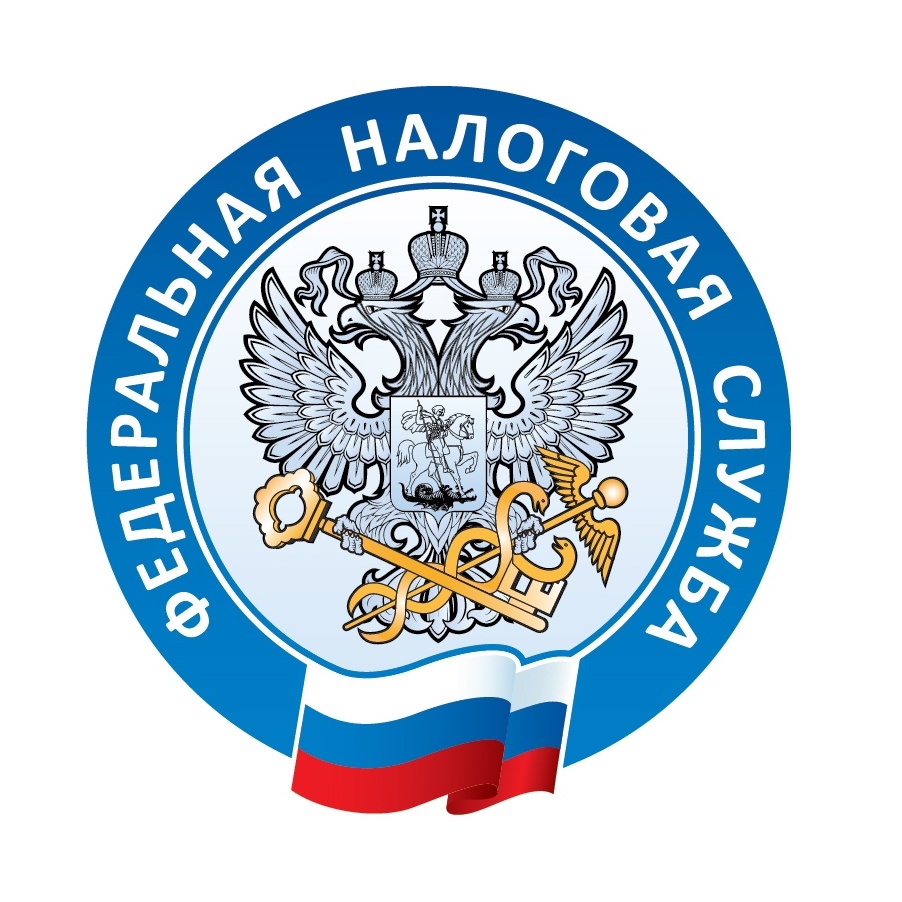 Большой ежеквартальный семинар пройдет в УФНС России по Забайкальскому краю 8 февраля